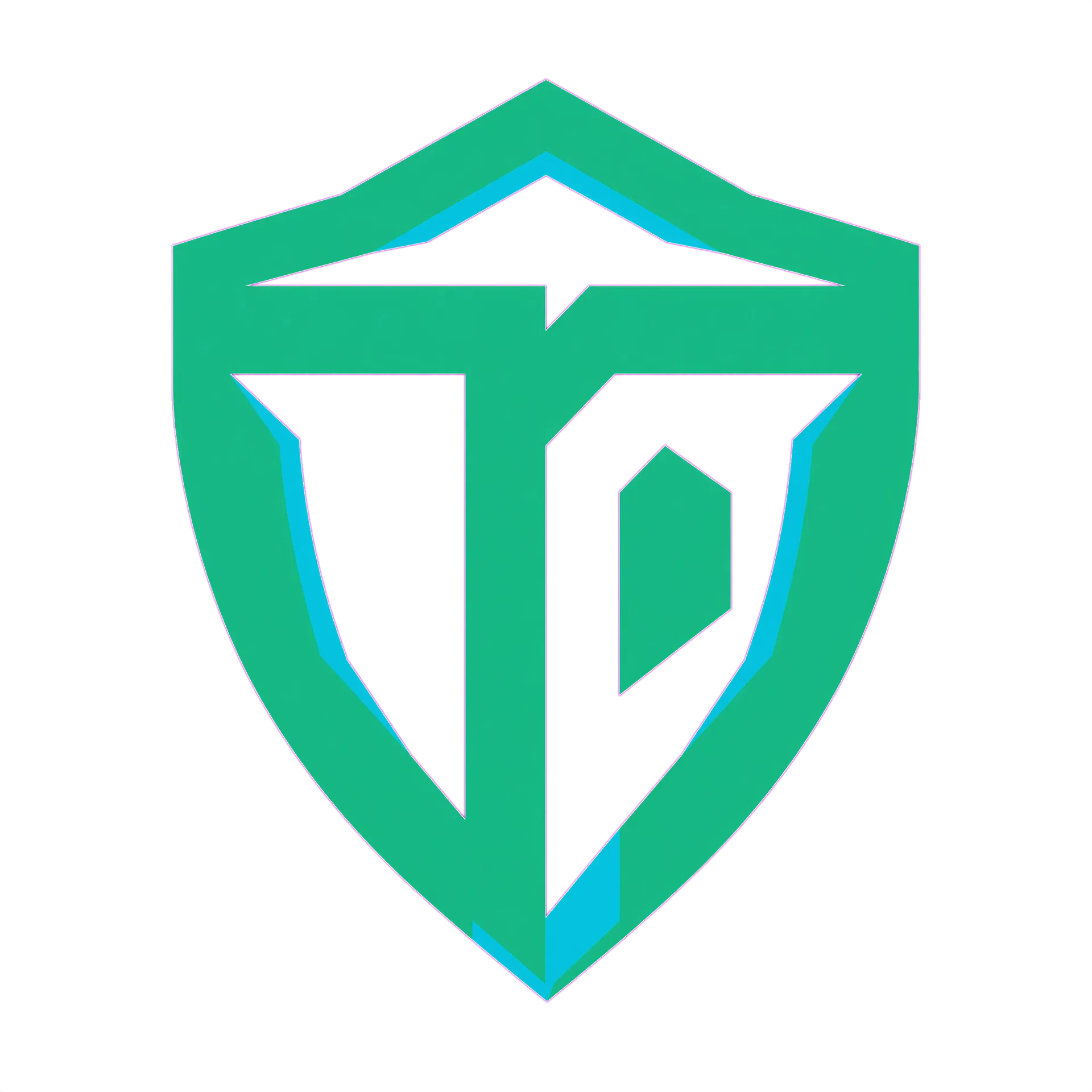 TP Security